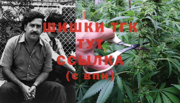 прущий лед Алзамай