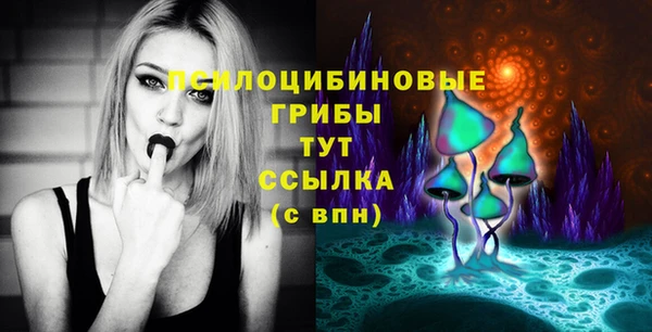прущий лед Алзамай