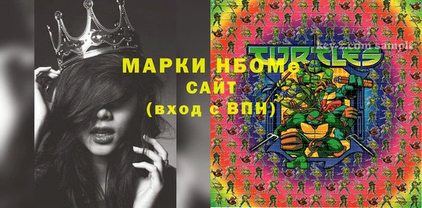 прущий лед Алзамай