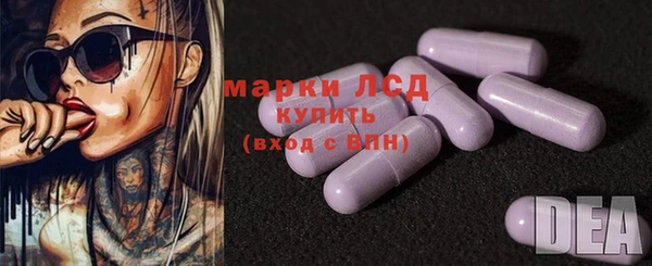 прущий лед Алзамай