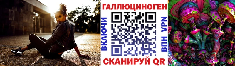 Галлюциногенные грибы Psilocybine cubensis  Киселёвск 
